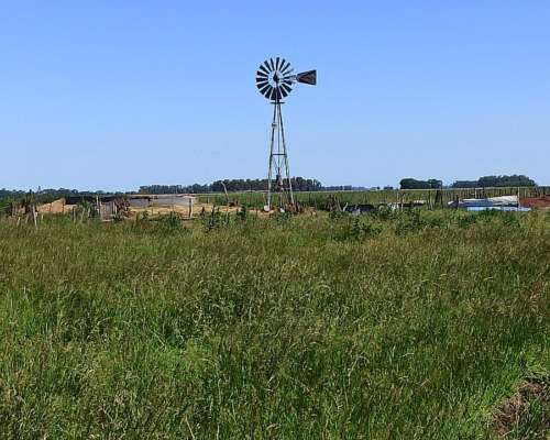 Vendo Germania Provincia de Buenos Aires