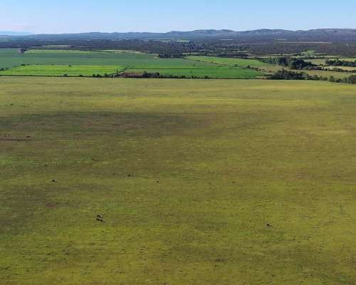 Córdoba Pocho 100 Has Agrícolas