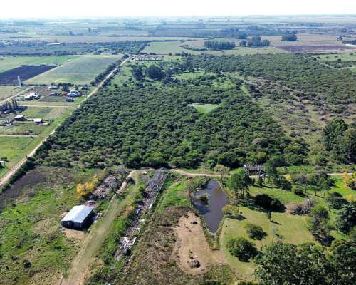 Vendo Lote de 2 Has con Casas en San Justo, Entre Ríos.
