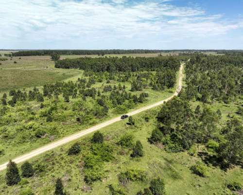 Pcia. de Corrientes - Pago de los Deseos 254 Has