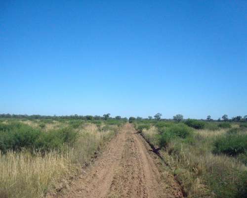San Luis- Campo para Riego-