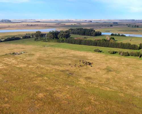 48 Has en Punta Indio, BS. AS. - Agrícola/haras - Venta