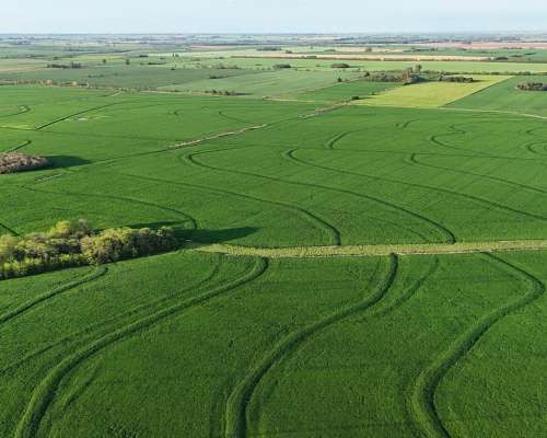 340 Ha Agricolas Capitan Sarmiento