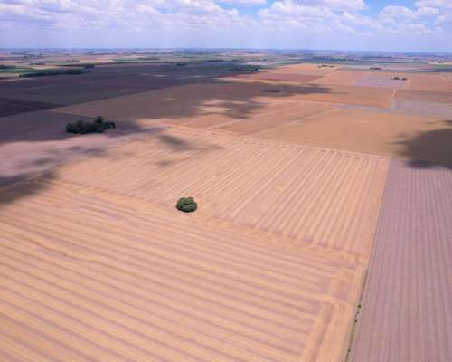 23 Ha Acevedo. Agricolas