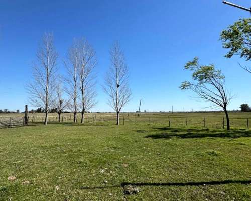 Campo Mixto de 50 Hectáreas