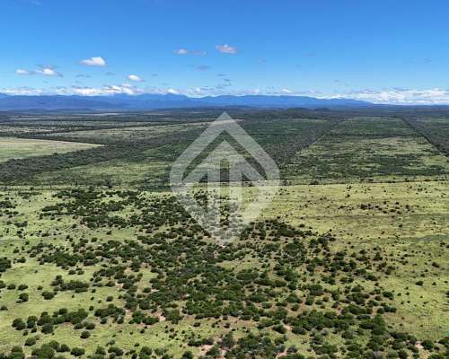 En Venta 6600 Hectáreas Mixtas en la Estrella - Salta