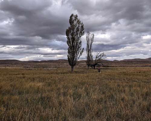 👉 “venta de Campo 2500 Has – Ñorquinco, Río Negro – con CAS