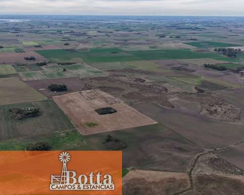 Campo Agrícola en Venta, 33has Saladillo, Buenos Aires