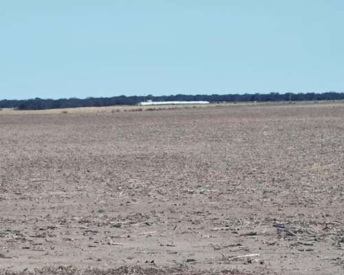 Juan Llerena 200 Has