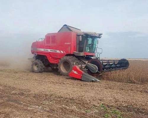 Massey Ferguson 6690 Arrocera