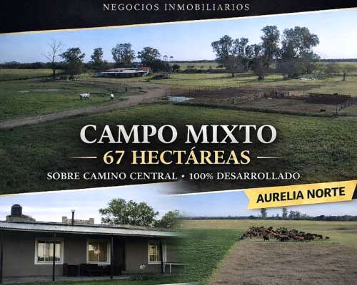 Vendo 67 Has Mixtas Aurelia Norte