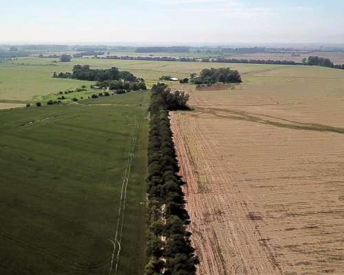 400 Hectareas en Capilla del Señor