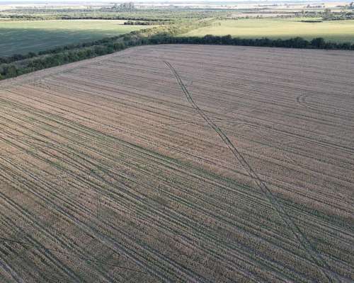 250 Hectáreas de Campo Agrícola en Gualeguaychú, Sobre Ripio