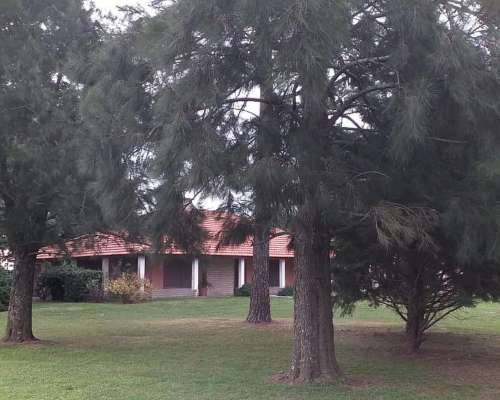 70 Has Agrícolas Suelo 1 con Casco Impecable.