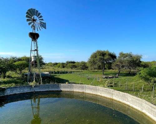 Campo Ganadero en Venta - 118 Has- Bovril, Dpto la PAZ