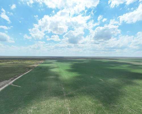 Pcia. de San Luis - Nahuel Mapa 3458 Ha