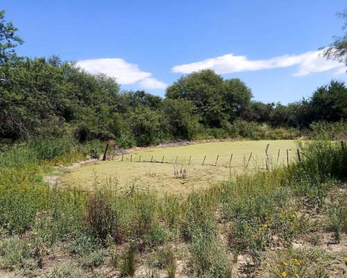 Vendo Campo San Luis