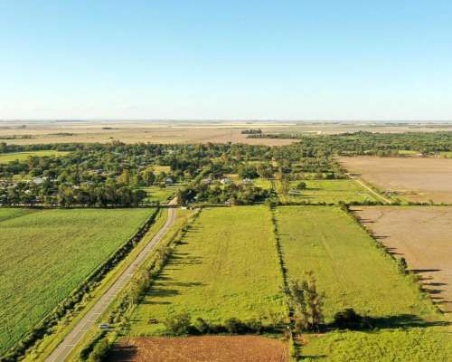 Washington, Río Cuarto, Córdoba - 11 Ha