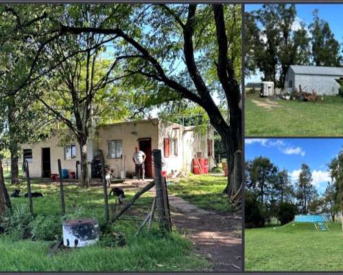 Venta Chacra 30 Has en Balcarce