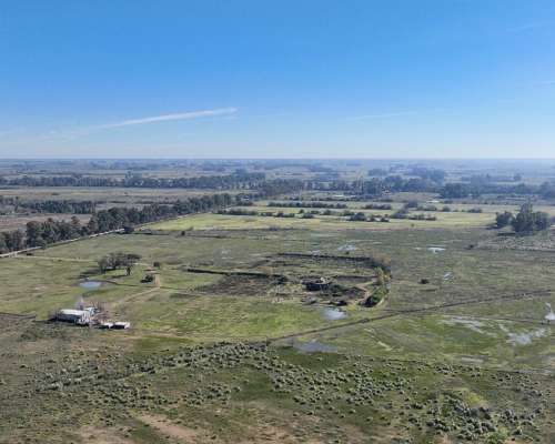 Pcia. de Buenos Aires - Marcos PAZ 185 Has