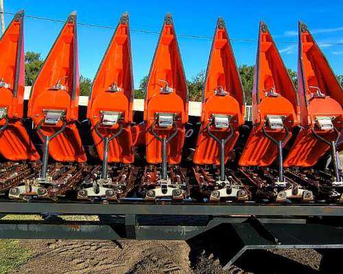 Plataforma Maicero Ombu 2020, año 2021, 20 a 52,