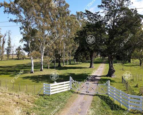Campo en Venta de 1420 Has en Azul. Ganadero