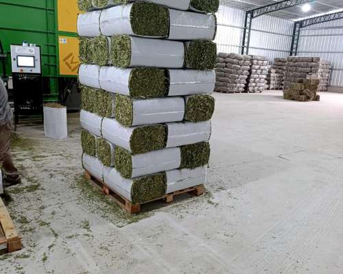 Fardos Compactados de Alfalfa