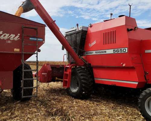Cosechadora Massey Ferguson 5650 C/maicero, muy Buena