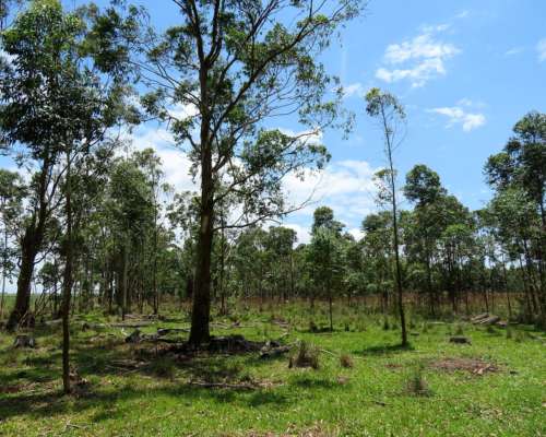 Villa Olivari - 850 Ha - Corrientes