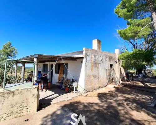 Se Vende Excelente Campo Ganadero en Victorica, la Pampa.