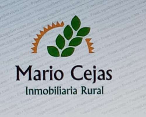 San Nicolás BS AS 25 Has Agricolas a 100 M de Autopista