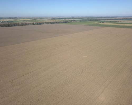 Venta Campo Agrícola 250 Has