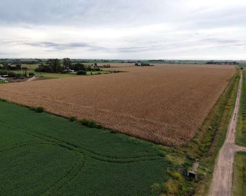 47,33 Ha Firmat Santa FE