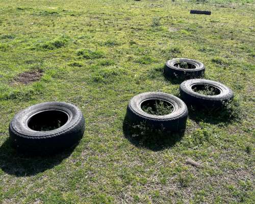 Carro Porta Transportador 8 Rollos Robusto con Duales