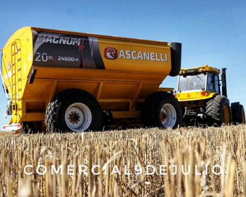 Tolva Autodescargable Ascanelli 20tn - 9 de Julio, BS. AS.
