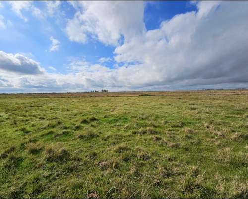 Oportunidad - Arrendamiento Campo Ganadero 1400 Ha