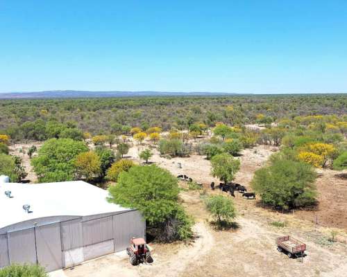 Campo Agrícola Ganadero 285 HA, las Playas, Córdoba.