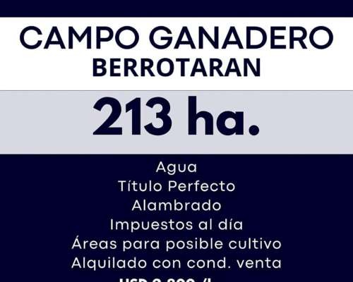 Venta de 213 Ha Ganaderas en Berrotarán