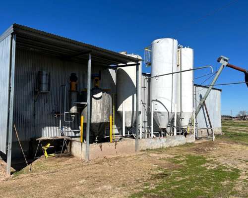 Planta para Aceitera (soja o Girasol)
