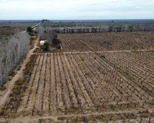 100 Ha Sobre Ruta 142 Gustavo Andre