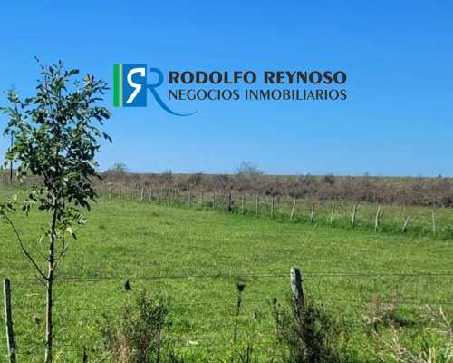 Campo en Villa Elisa - Entre Rios