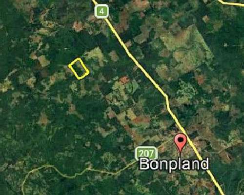 Misiones 40 Ha Naturaleza Producción Potencial de Inversión