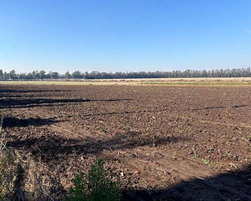 Campo de 2,5 Has en San Pedro Buenos Aires