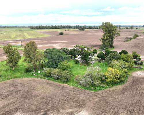 140 Has. Campo Mixto con Mejoras y Arboleda en Mercedes