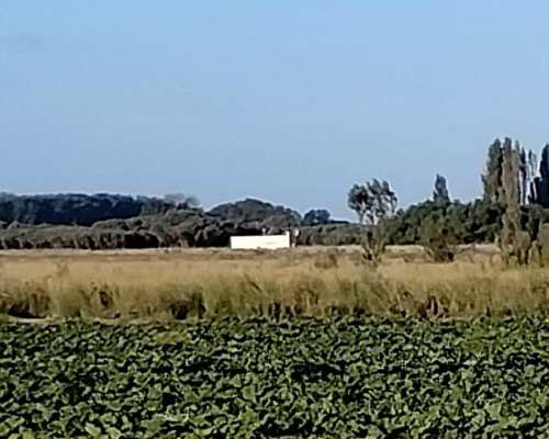 Gran Estancia con Riego, 1600 Ha en Pedro Luro - Pcia BS AS
