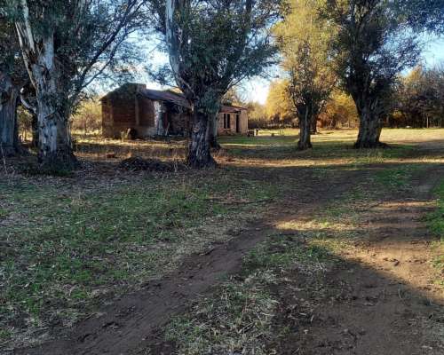 1.140 Ha Excelente Campo de Monte en San German, Puan