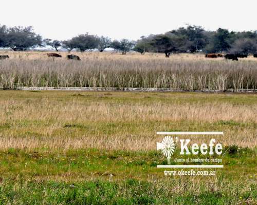 2500 Has. Campo en Venta en Gral. Juan Madariaga