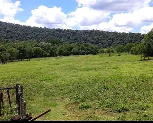 Vendo 80ha en San Vicente Misiones Argentina