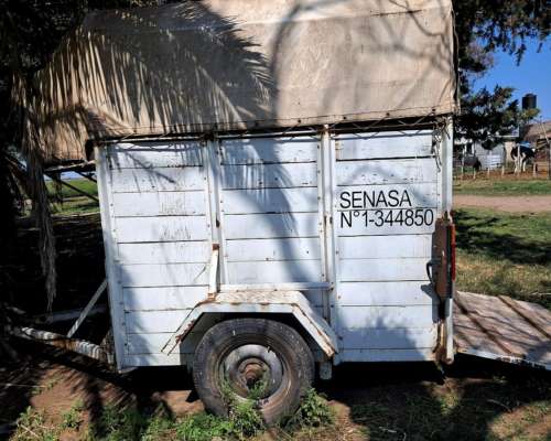 Trailers para Dos Caballos