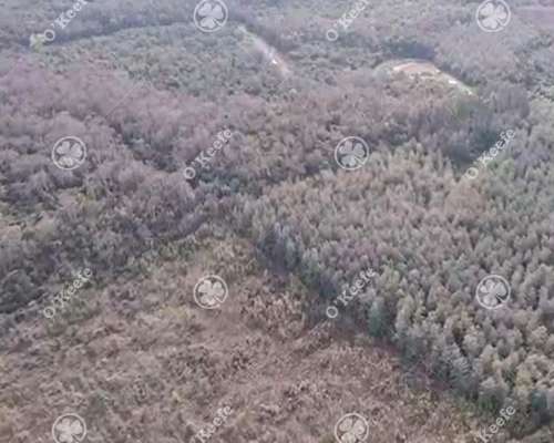 Campo Venta de 6300 Has en Oran, Salta